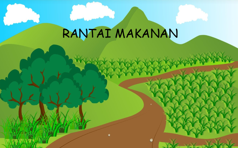 Rantai Makanan
